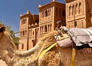 Ruta 7 Dias Desde Marrakech a Desierto Sahara