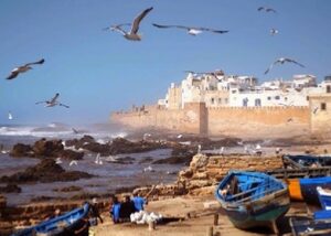 Tour Da Marrakech a Essaouira